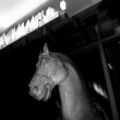 Ένα άλογο στο Μπαρ | Του Πέτρου Κουμπλή